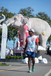 BIB: 
                            <button type="button" onclick="openModal(26545166)" class="btn btn-primary btn-sm float-right btn-popup" data-toggle="modal" data-target=".modal-high-quality">
                        <i class="fas fa-shopping-cart"></i> Add to Cart
                    </button>
                                            <button type="button" onclick="isThisMe(26545166, true)" class="btn btn-success btn-sm float-right btn-popup btn-isme hidden" data-toggle="tooltip" data-placement="bottom" title="นี่คือรูปของคุณใช่ไหม คลิกที่นี่เพื่อเอาเข้าอัลบั้ม">
                        <i class="fas fa-plus"></i> Add to album
                    </button>
                    <button type="button" onclick="isThisMe(26545166, false)" class="btn btn-warning btn-sm float-right btn-popup btn-isnotme hidden">
                        <i class="fas fa-ban"></i> Remove from album
                    </button>